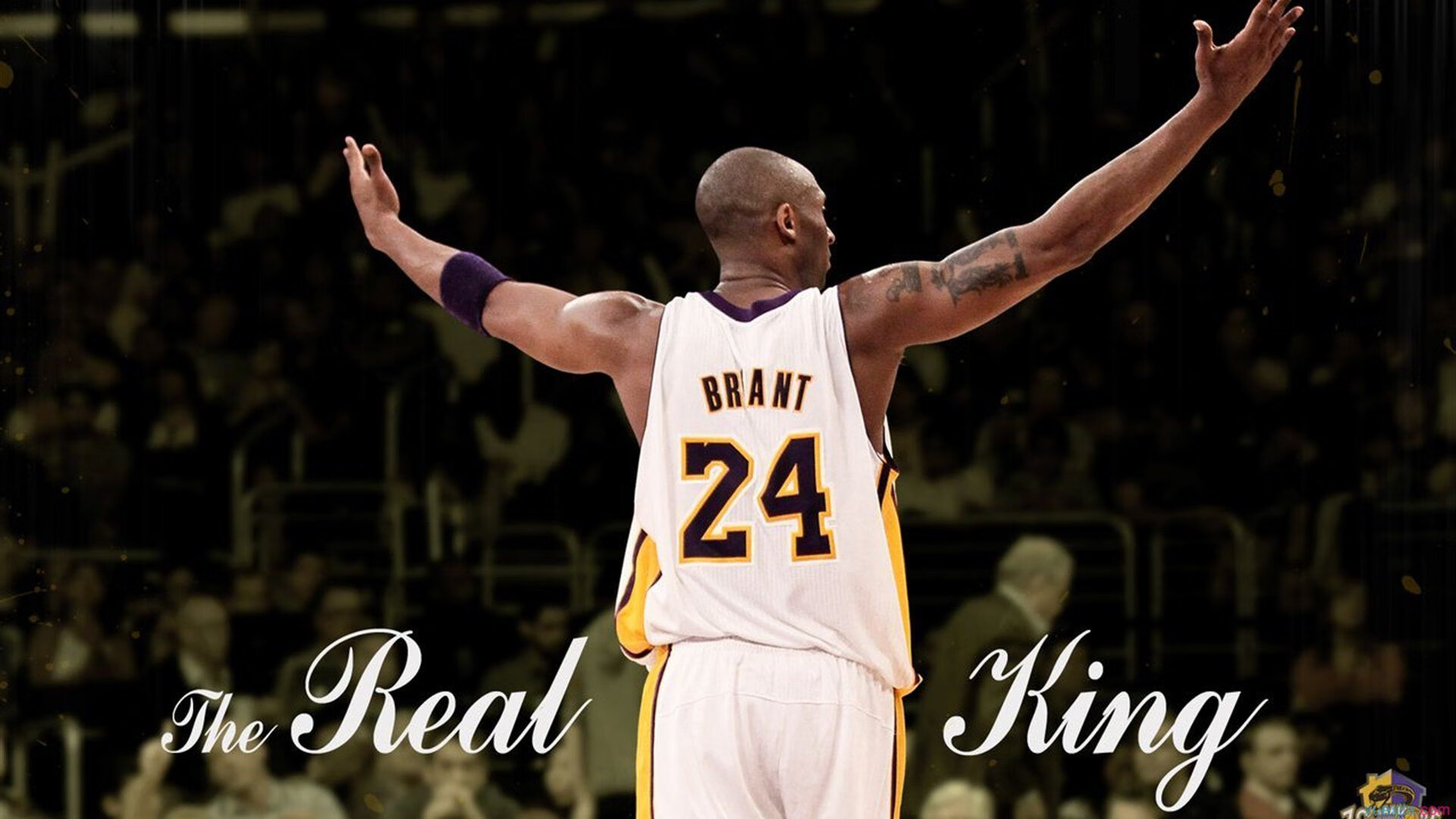 “世界游泳锦标赛游泳项目,哪些选手能脱颖而出?”